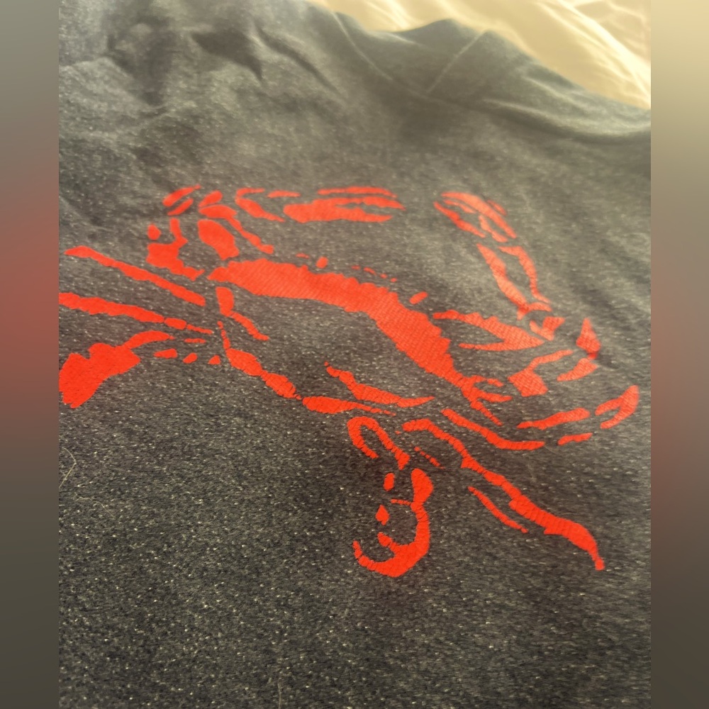Crewcuts by Jcrew Hooded Long Sleeve T-Shirt with Red Crab Design